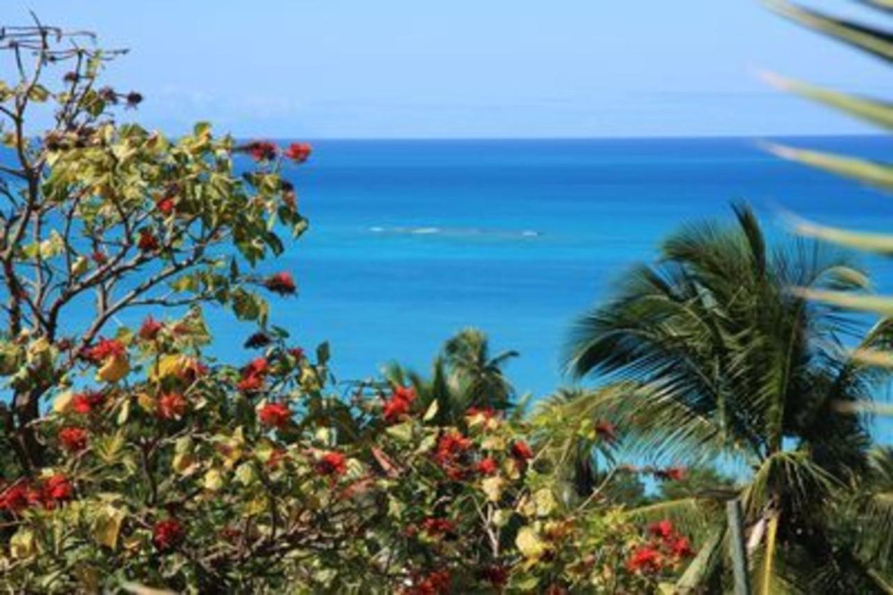 Attractive 2-Bed Apartment Stunning Sea View Dickenson Bay Exterior photo